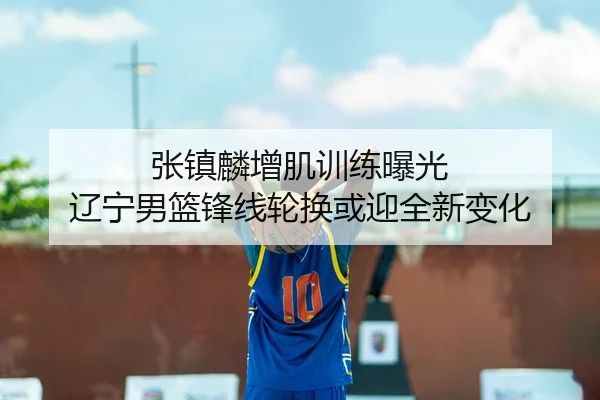 张镇麟增肌训练曝光 辽宁男篮锋线轮换或迎全新变化